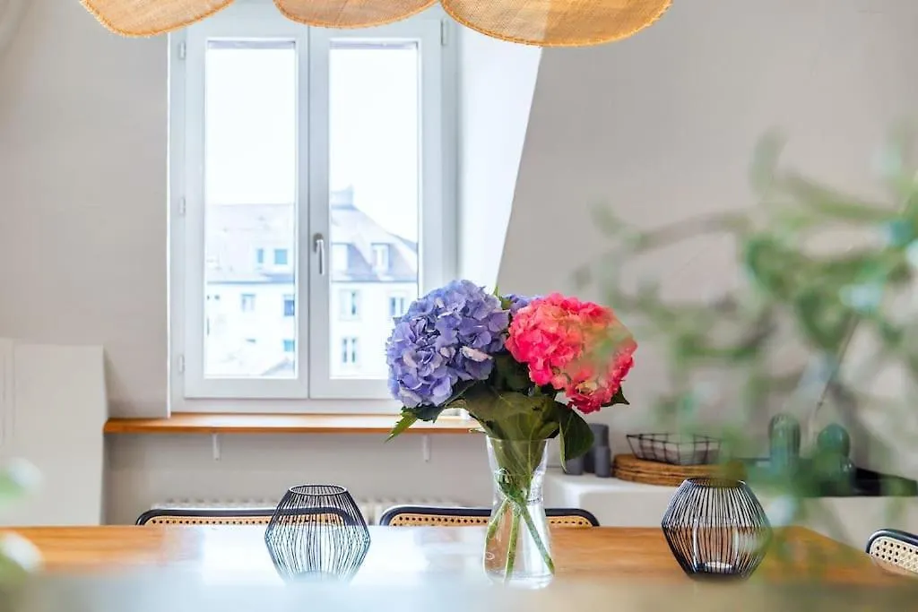 Wohnung In Zuerich Mit Dachterrasse // Langstrasse Zurich