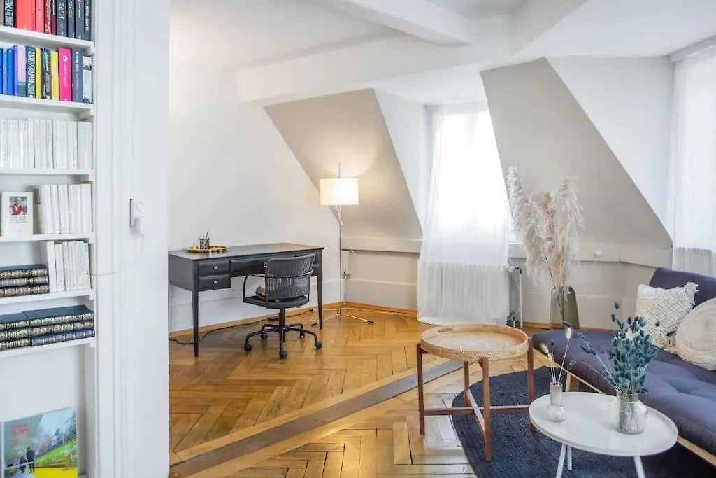 Apartment Wohnung In Zuerich Mit Dachterrasse // Langstrasse