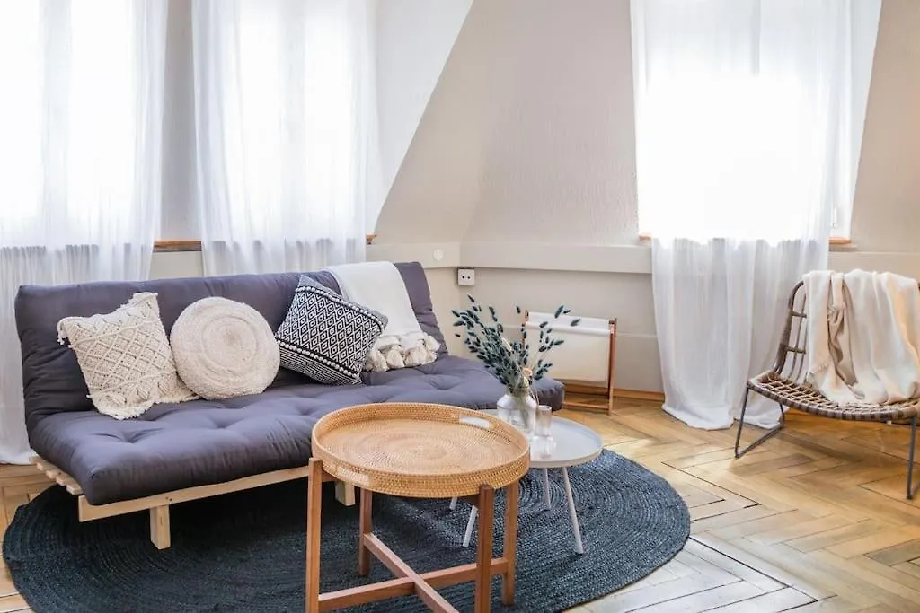 Wohnung In Zuerich Mit Dachterrasse // Langstrasse Apartment Zurich