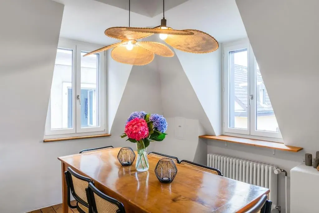 Wohnung In Zuerich Mit Dachterrasse // Langstrasse Apartment