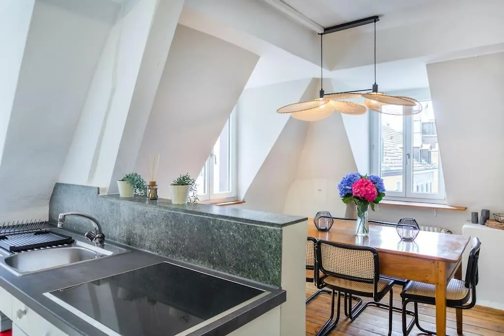 Wohnung In Zuerich Mit Dachterrasse // Langstrasse