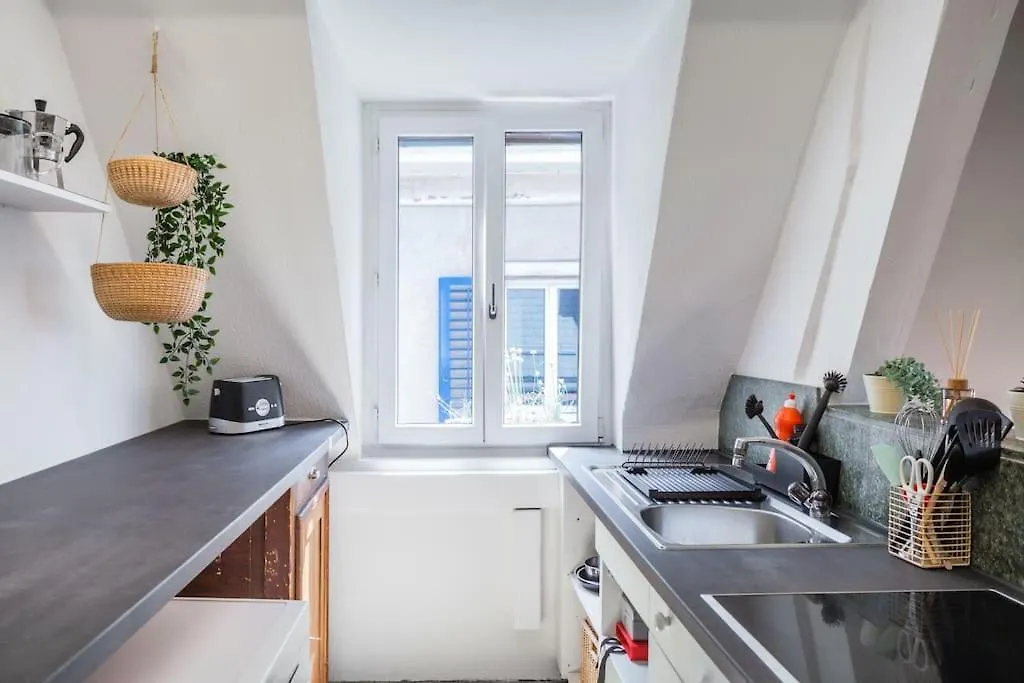 Wohnung In Zuerich Mit Dachterrasse // Langstrasse Apartment